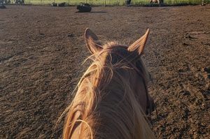 Meet your Posher, Natasha